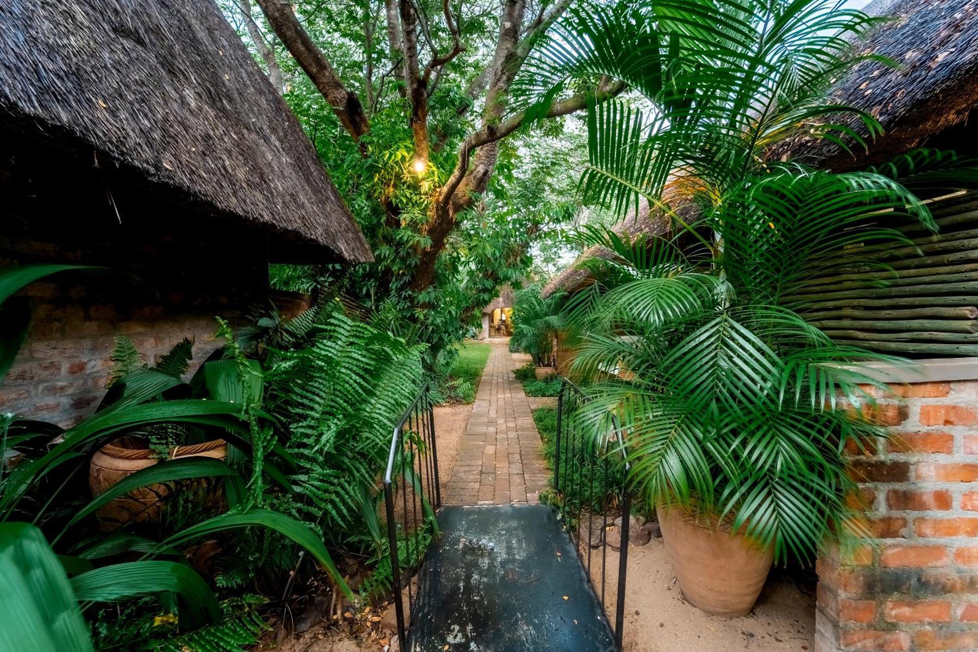 Nguni Lodge Victoria Falls Extérieur photo